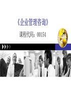 自精典课件考企业管理咨询第一章_咨询原理.ppt