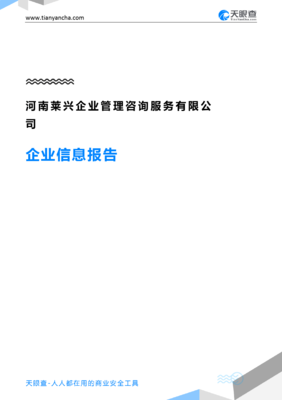 河南莱兴企业管理咨询服务企业信息报告-天眼查