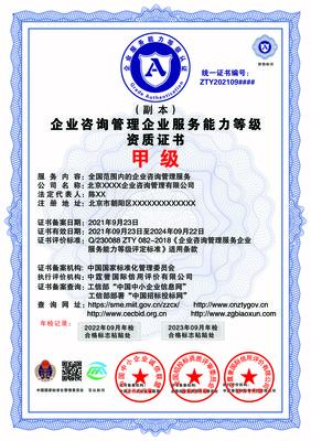 企业咨询管理企业服务能力 等级证书